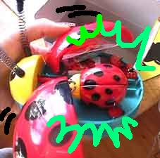 �o�Ă���!!
